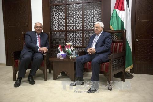 Махмуд Аббас встретился с министром иностранных дел Египта  - ảnh 1